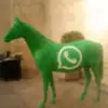 jefaost9