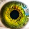 eyegotmymaculaonyou