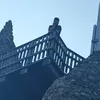 roozegoose