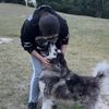 directorpanda17