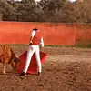 rafagordilloo