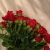 zahra010405