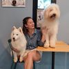 sandy_chong