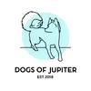 Dogs of Jupiter Dog Training