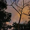 maay_567