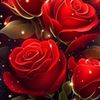 saadia388