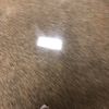 chrisdiaz155