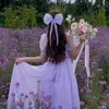 adham22446