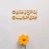 alaaosman314