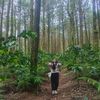 ageofwibowo