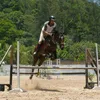 fernando.imperio