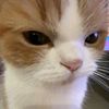 cloudypawssy