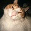 josue2003_05