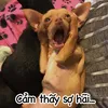 embexemtiktok