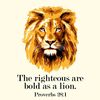 lion17426
