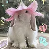 🐇