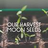 our_harvest_moon