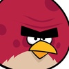 angrybirdlover9