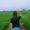 arsyil397