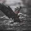 bnyat_raptor
