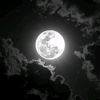 nayif813