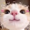 sinthiya5472