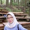 nisa_bsa3
