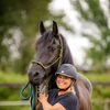 travelandridehorses