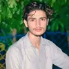 hamzaveer081