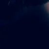plntn_08