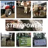 steyrpower13