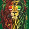 lionsglow
