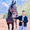ahmedmhmed2006