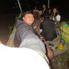finojaya_15