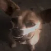 miskatomojkot10