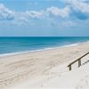 floridapalmtrees_