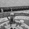 marwanalhadhal