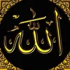 mahmoodalsherefi