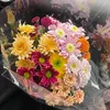 oumsidaisy