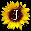 jacy_silva30