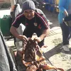 wildvargas4