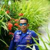 alta_altelery