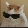 kevin_el6