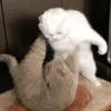 mtny_8