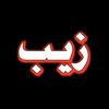 zafarbaloch273