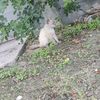 axelgamboa97