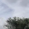 pokonyaqt