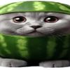 user8313110951085