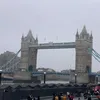 tonilondon077