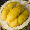 d24durian